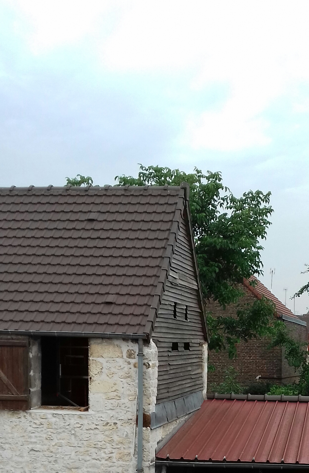 Création d'un pigon en verre Venette Oise (avant)