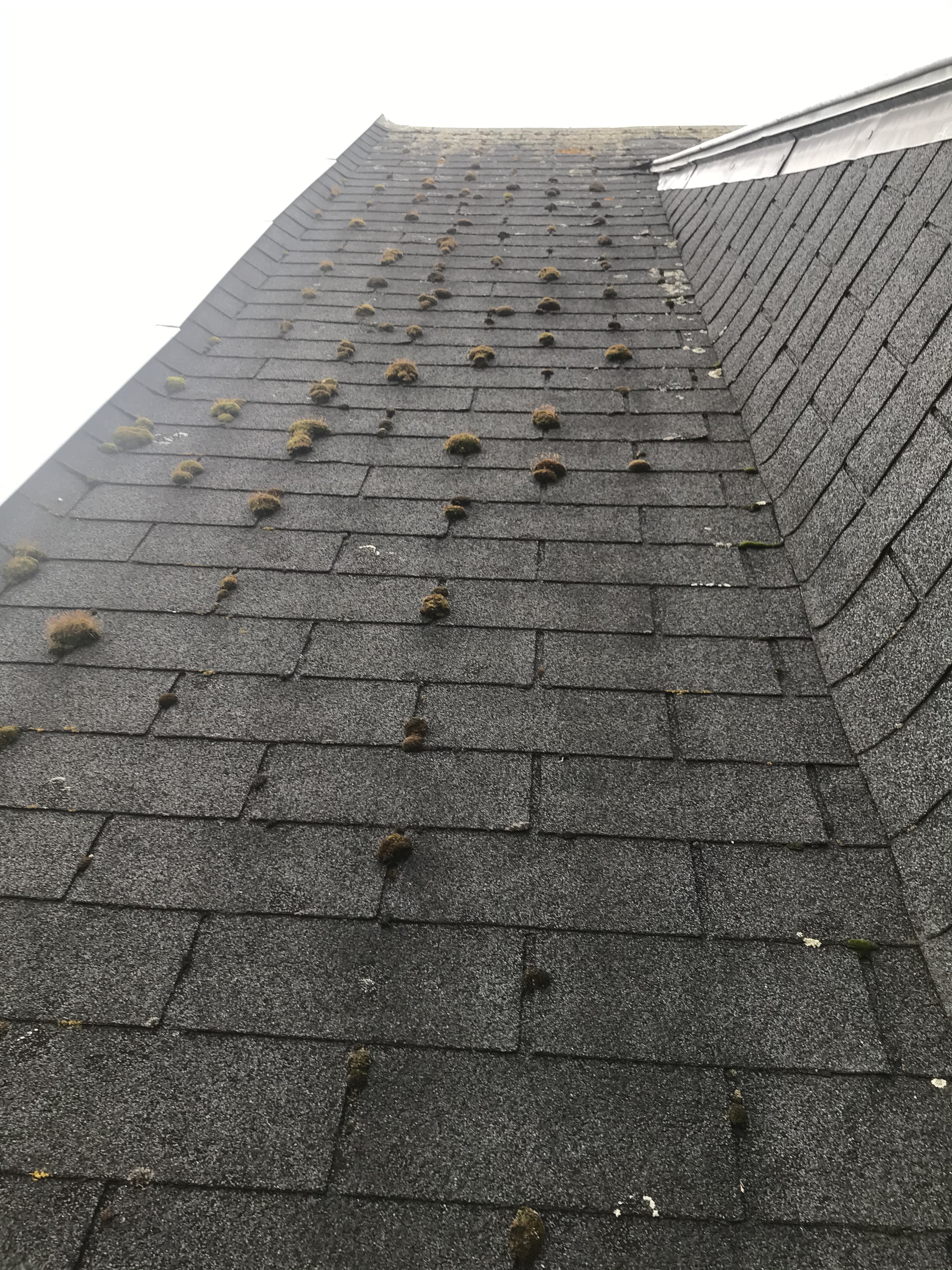 Couvreur compiegne toiture shingles avant 1