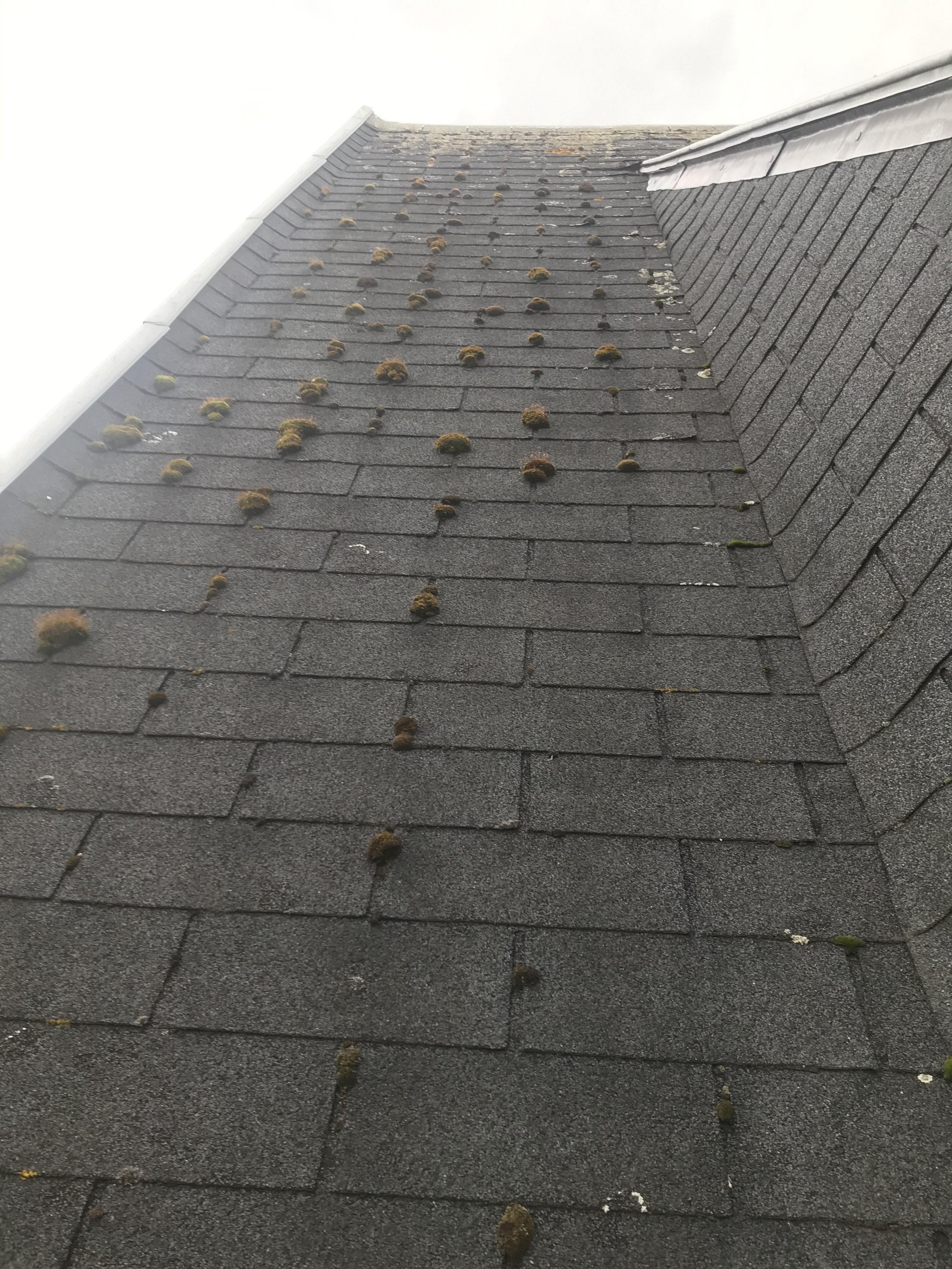 Couvreur compiegne toiture shingles avant 2