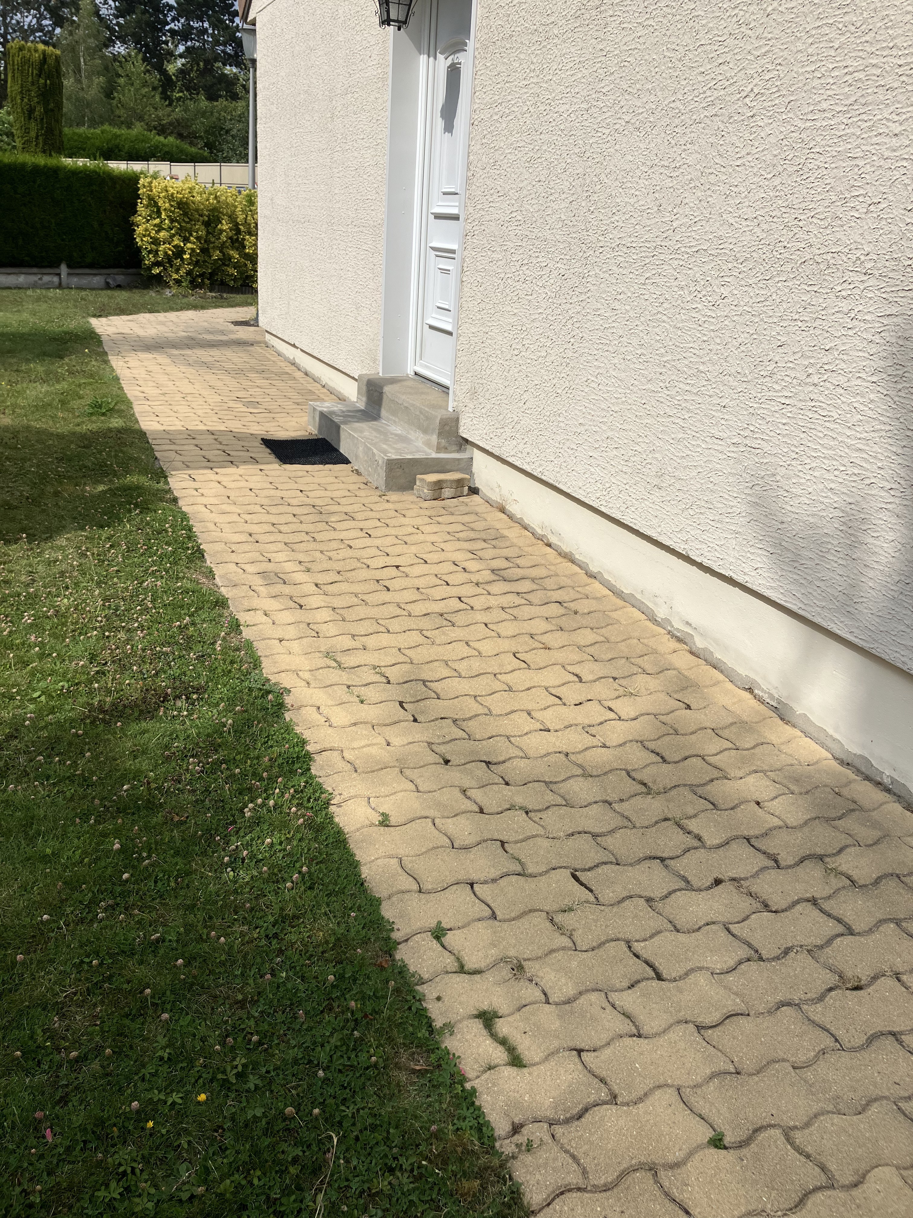 Img 2635